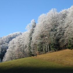 Herbststimmung.jpg